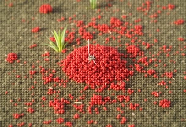 Evde Fermente Süt Nasıl Yapılır?