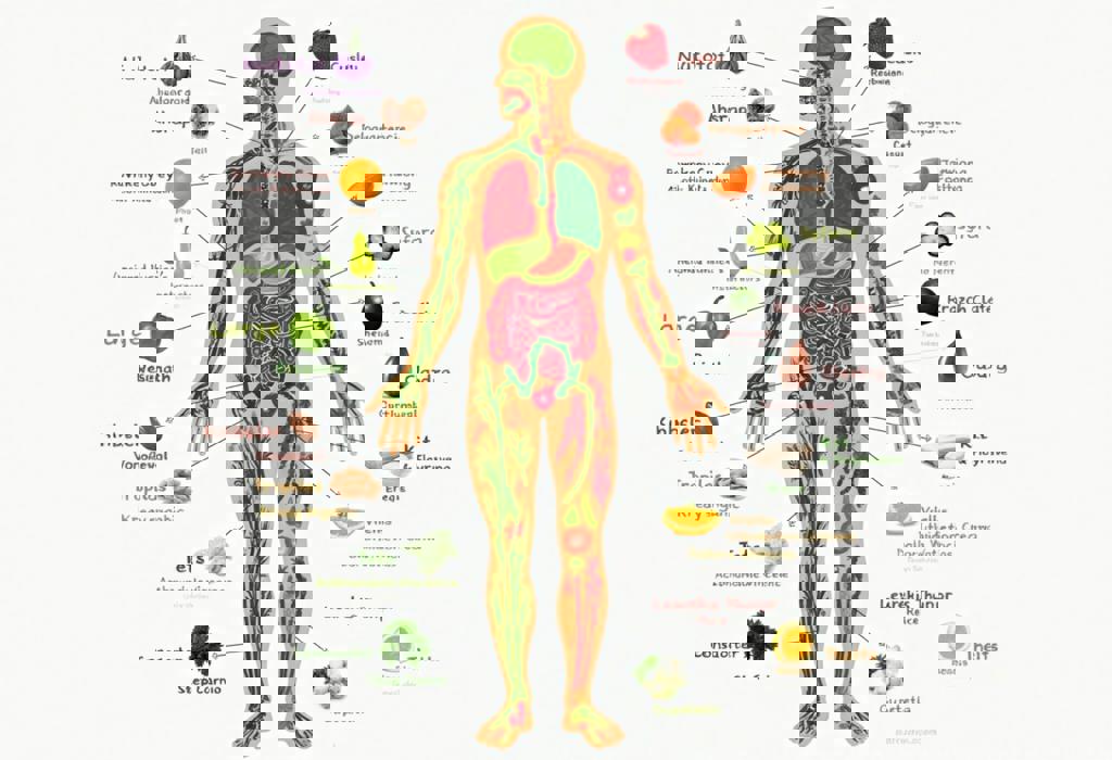 The Role of Nutrition in Diagnosing Illness