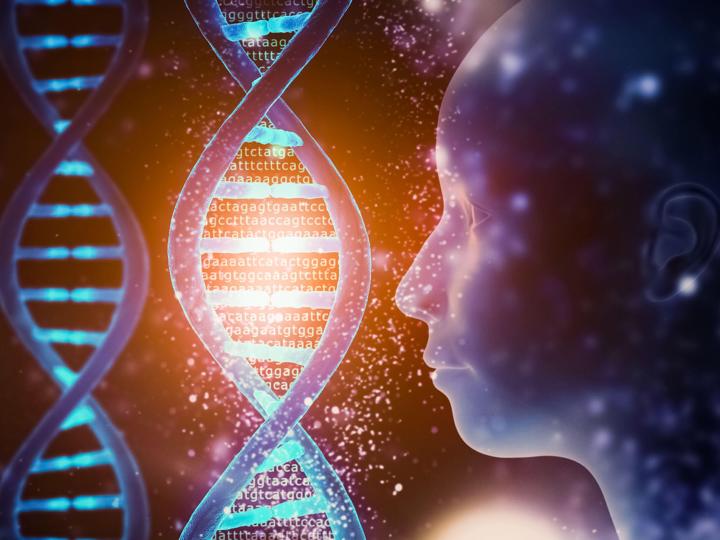 Do Humans Only Use 20% of Their DNA?