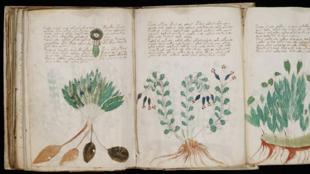 Lost in Translation: The Secrets of Ancient Manuscripts