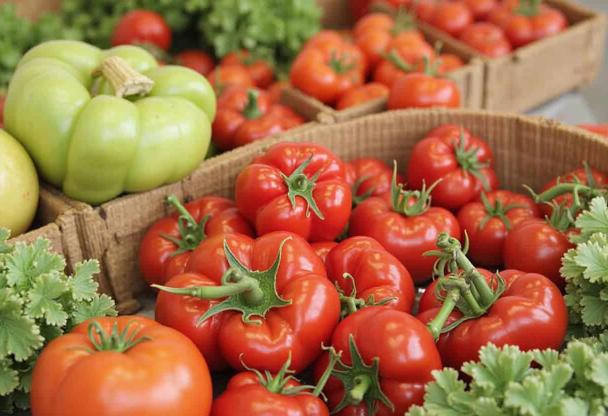 Kendi Fermentasyon Sürecinizi Nasıl Başlatırsınız?