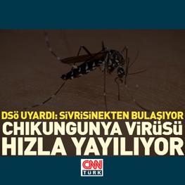 Dünya Chikungunya Virüsüyle Mücadele İçin Harekete Geçti