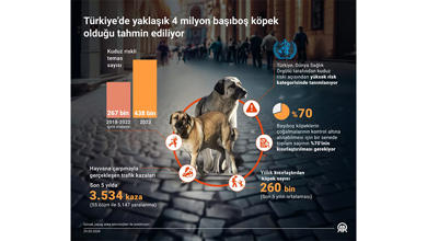 Katalonya'da Kuduz Riski Artıyor, Halk Dikkatli Olmaya Çağrılıyor