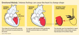Can You Really Die from a Broken Heart?