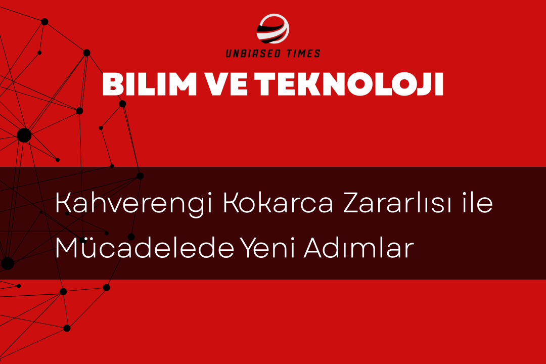 Kahverengi Kokarca Zararlısı ile Mücadelede Yeni Adımlar