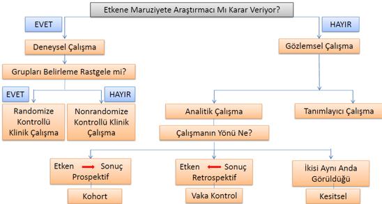 Hastalığımı Belirlemenin Yolları