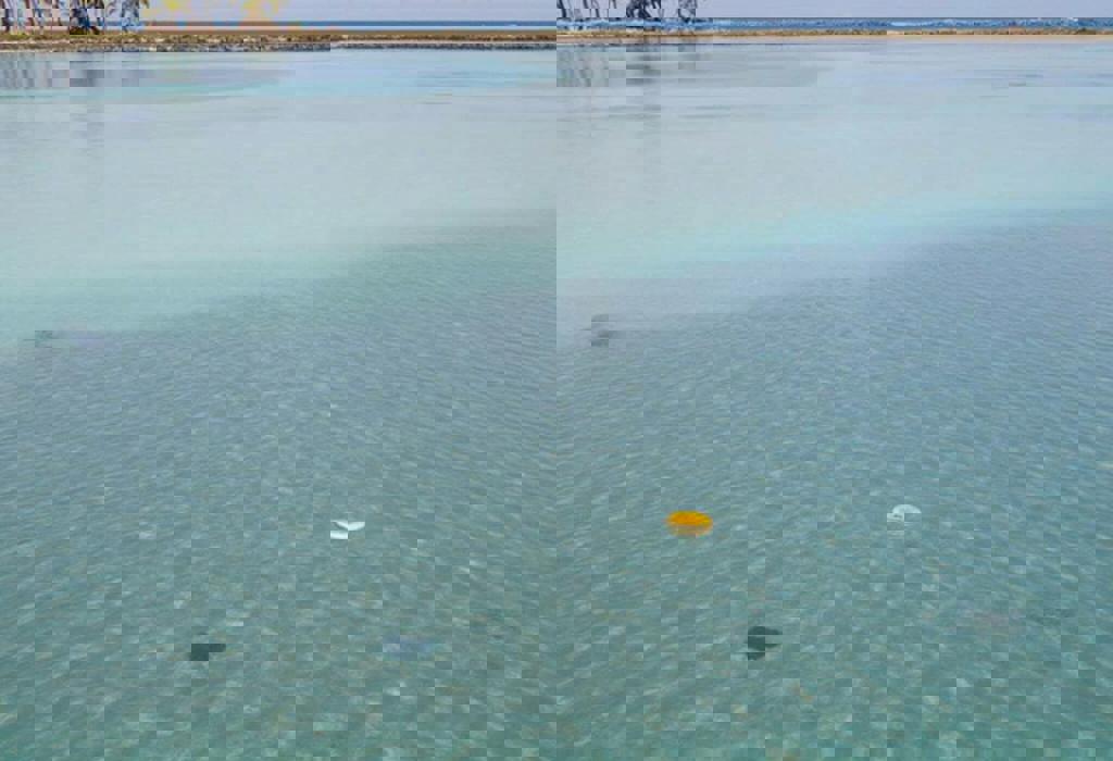 Researchers unlock patterns behind the rare phenomenon of milky seas