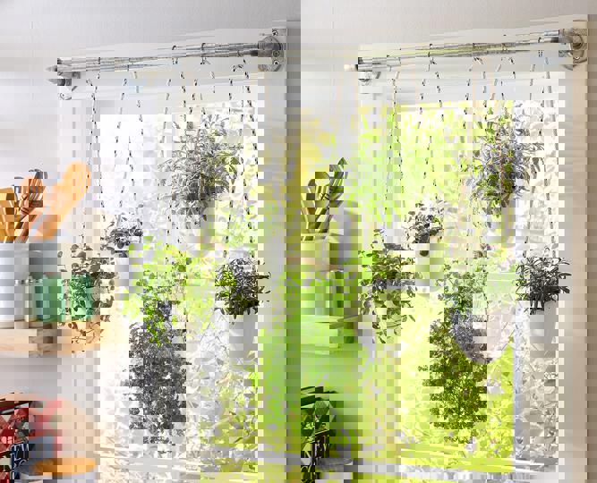 How to Grow Herbs Indoors Year-Round