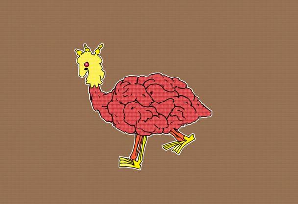 Meyve Kurutma Yöntemleri Nasıl Uygulanır?