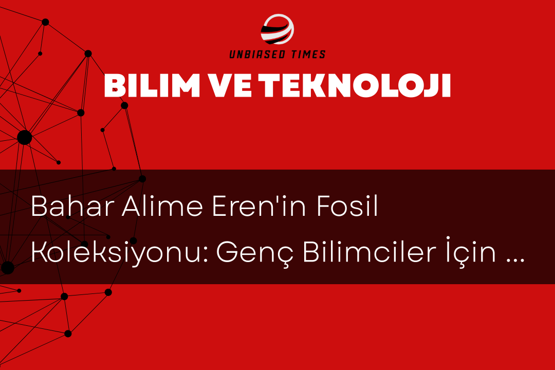 Bahar Alime Eren'in Fosil Koleksiyonu: Genç Bilimciler İçin İlham Kaynağı