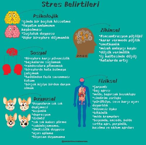 Psikolojik Etkilerin Fiziksel Belirtileri